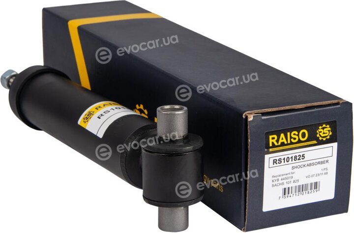 Raiso RS101825