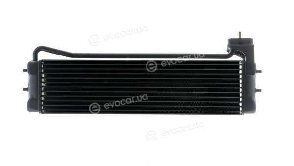 Mahle CLC 110 000P