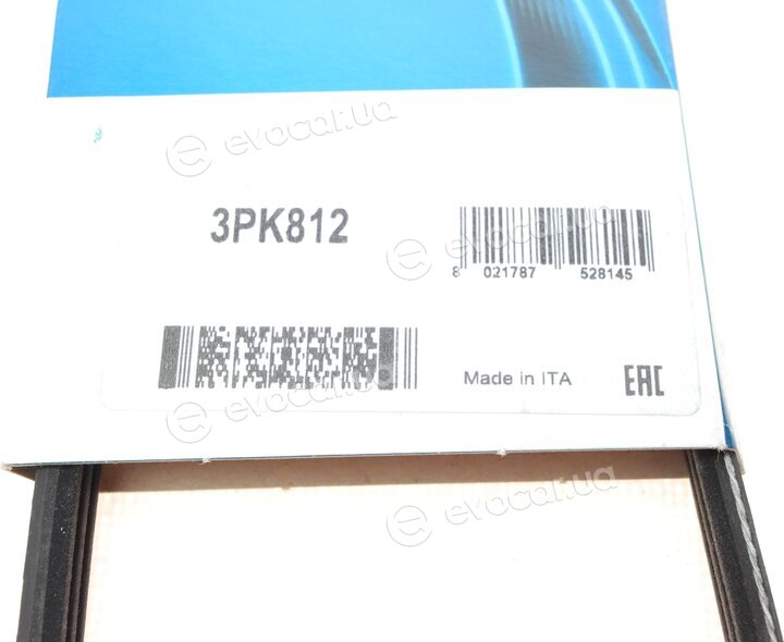Dayco 3PK812