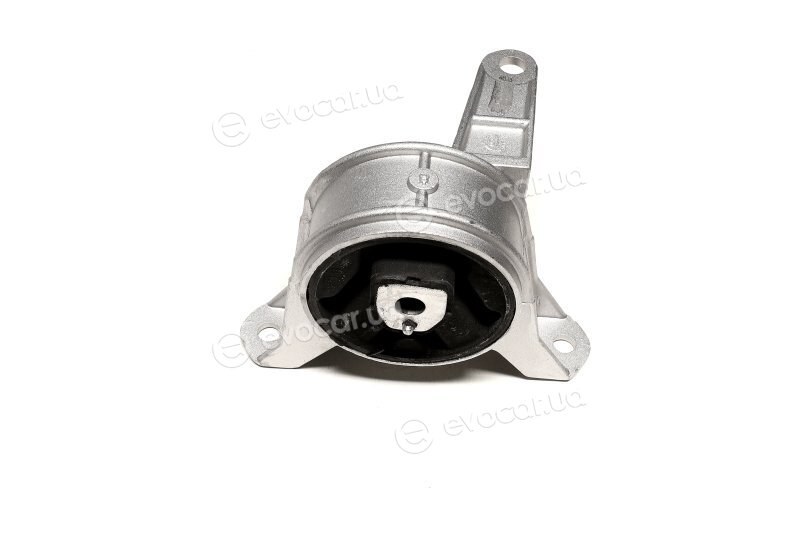Sasic 9002469
