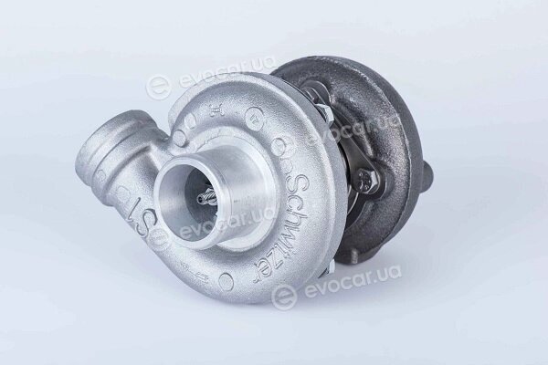 BorgWarner 313818