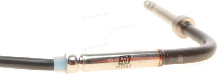 Solgy 115065