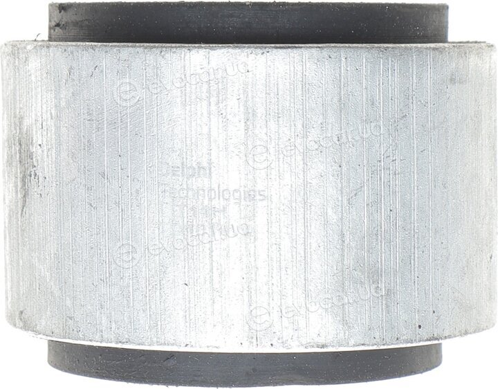 Delphi TD1010W