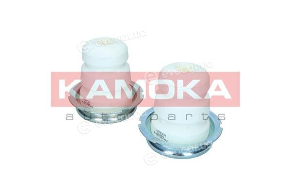 Kamoka 2019228