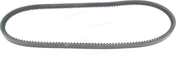 Hutchinson AV 11.9 La 885