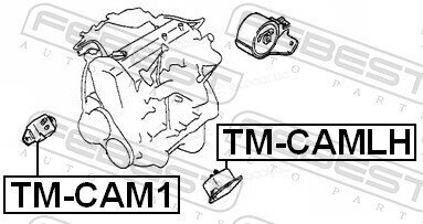 Febest TM-CAMLH