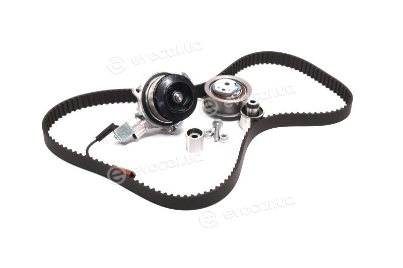 Continental CT1168WP1