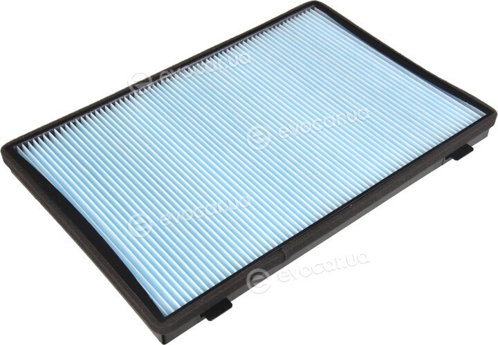 Blue Print ADG02599