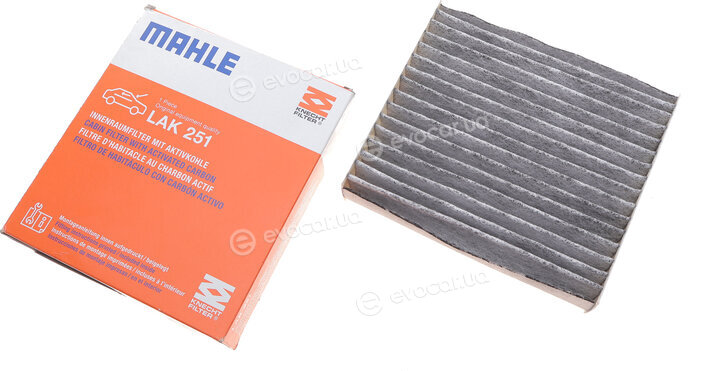 Mahle LAK 251