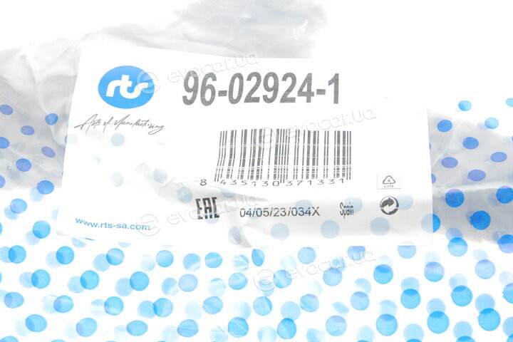 RTS 96-02924-1