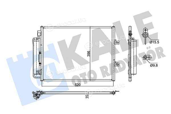 Kale 353180