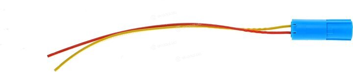 Solgy 412003