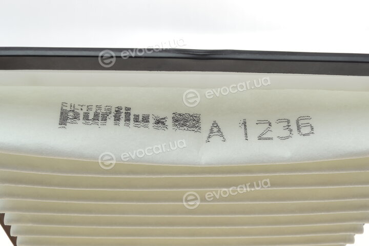 Purflux A1236