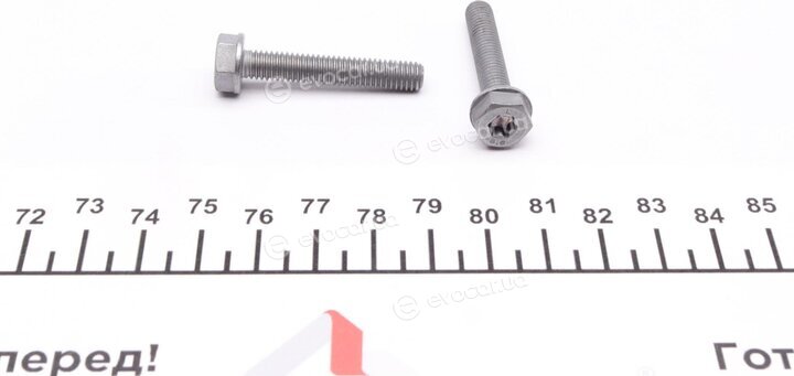 BorgWarner DS119088