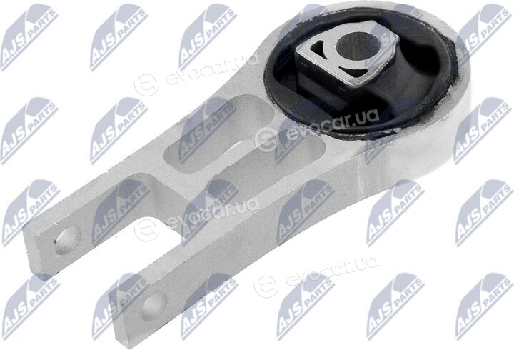 NTY ZPS-CH-100