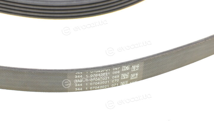 Continental 6PK1059 ELAST T2