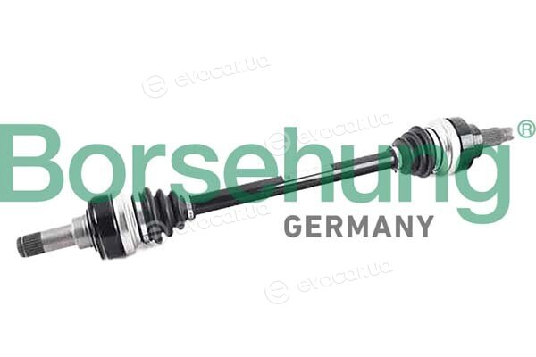 Borsehung B12487