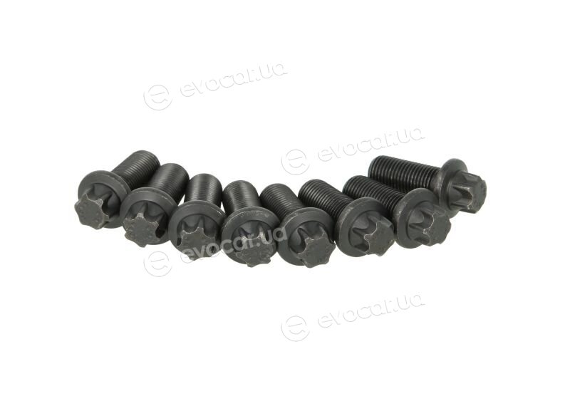 Sachs 1874 000 030