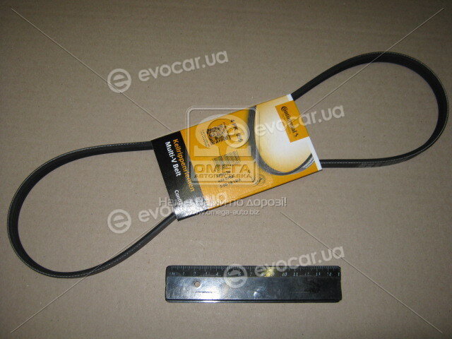 Continental 4PK995