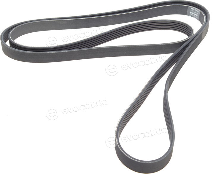 Dayco 6PK2404