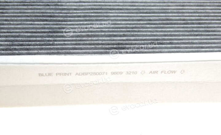 Blue Print ADBP250071