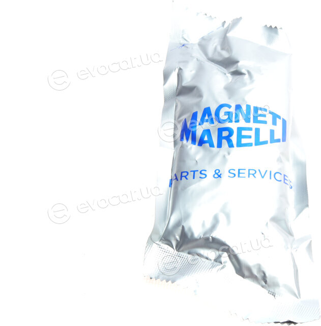 Magneti Marelli 302009100029
