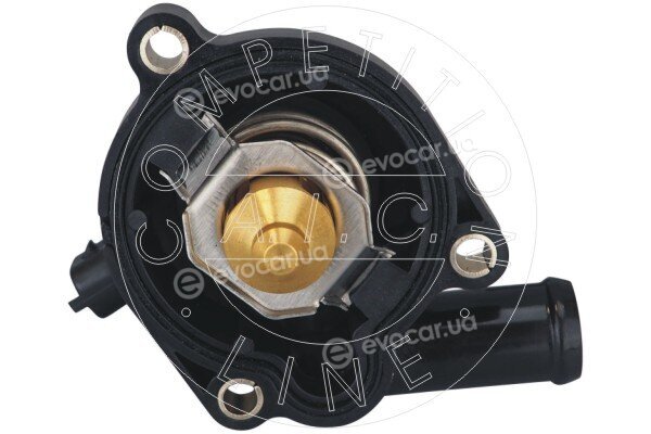 AIC 58061