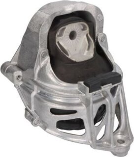 Reinhoch RH11-0173