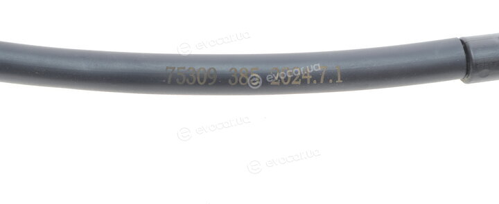 AIC 75309