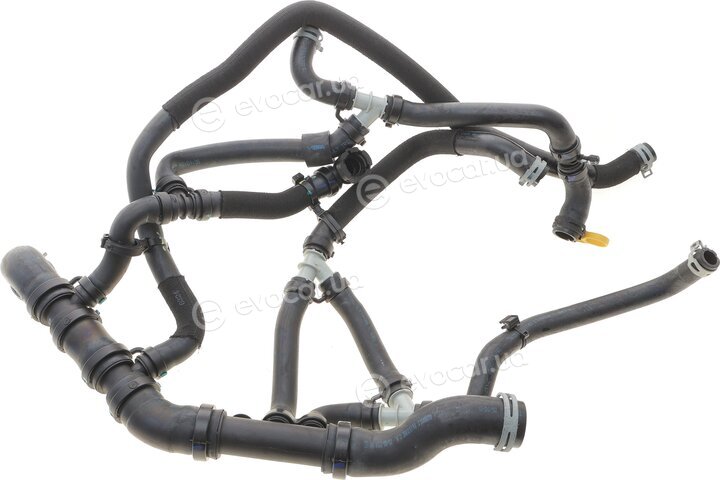 Renault / Nissan 215018961R