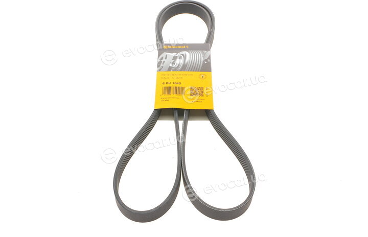 Continental 6PK1845