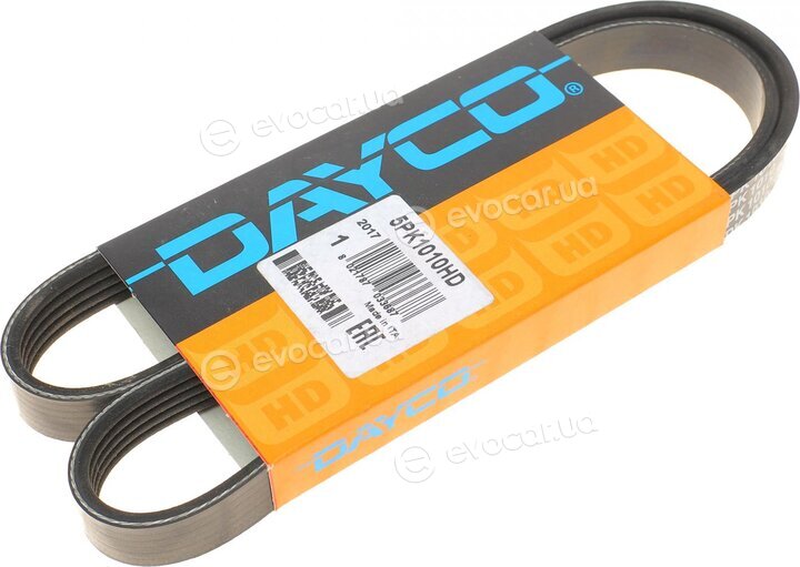 Dayco 5PK1010HD