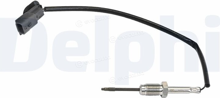 Delphi TS30384-12B1