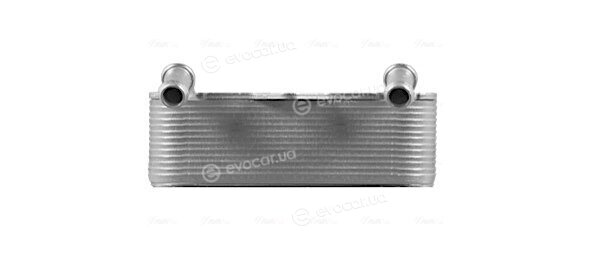 AVA OL3704