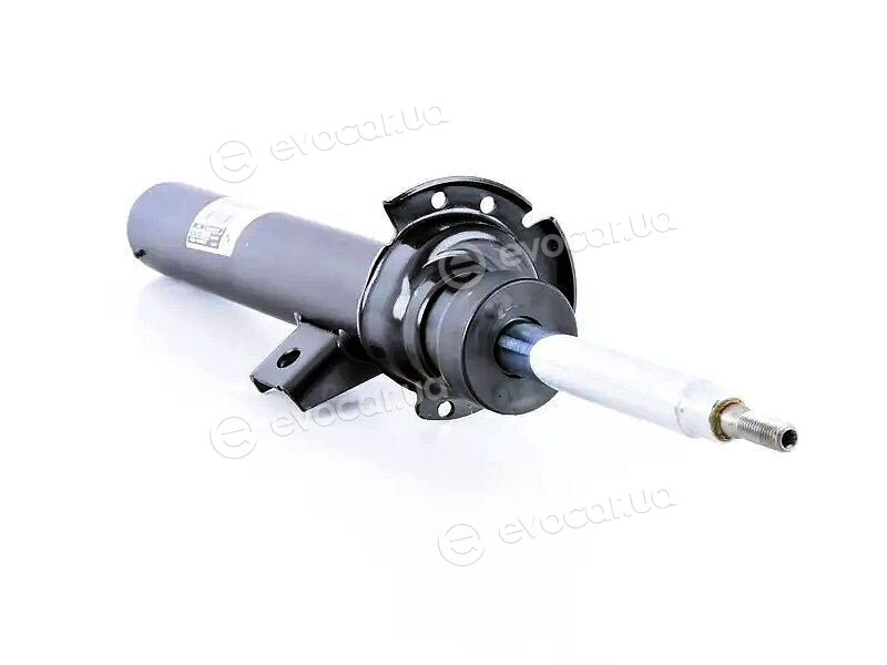 BMW / Mini 31 31 6 796 316