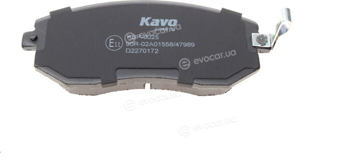 Kavo KBP-8025