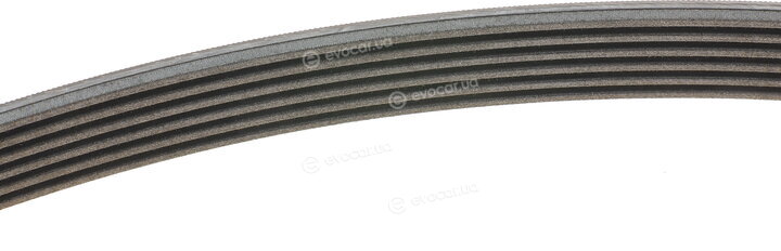 Continental 6PK1743