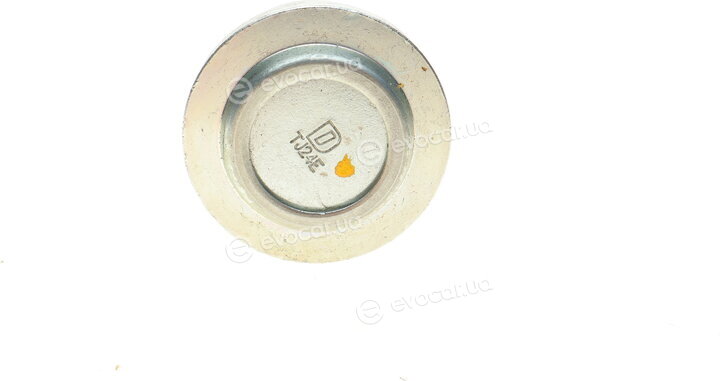 Delphi TC2101