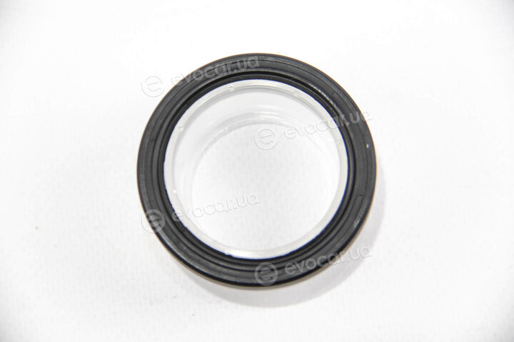Elring 248.300