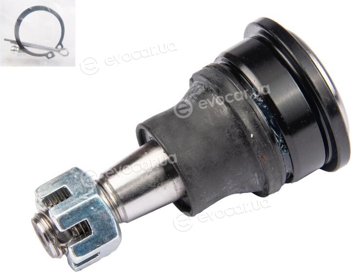 Raiso RL401642N