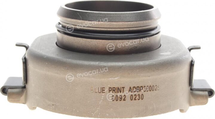 Blue Print ADBP300025