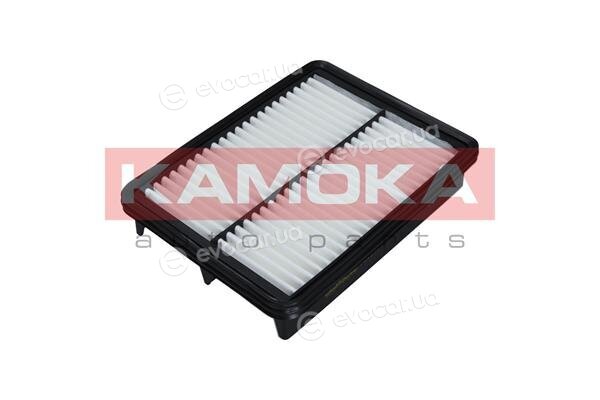 Kamoka F239101