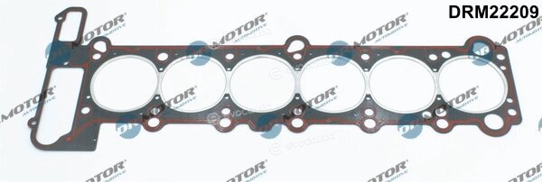 Dr. Motor DRM22209