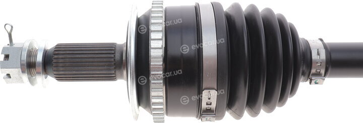 GSP 239164OL