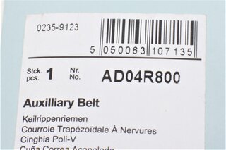 Blue Print AD04R800