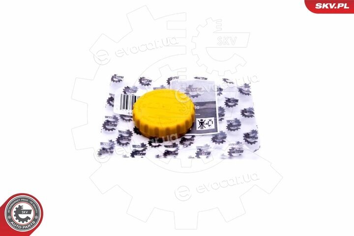 SKV 61SKV020
