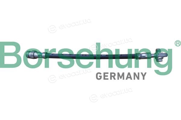 Borsehung B10951