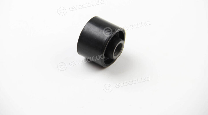 BC Guma 0239
