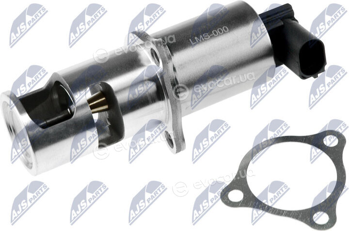 NTY EGR-MS-000