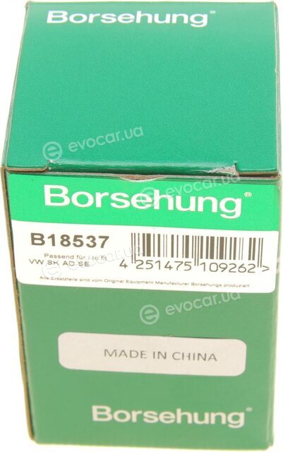 Borsehung B18537